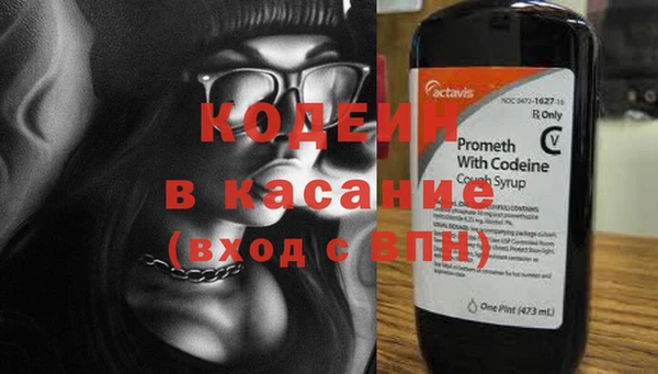 прущие грибы Беломорск