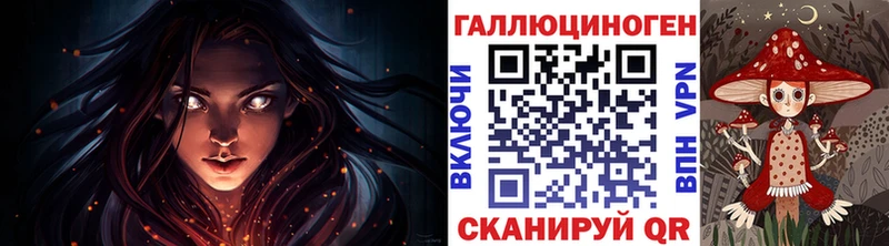 Галлюциногенные грибы Psilocybine cubensis  Городище 